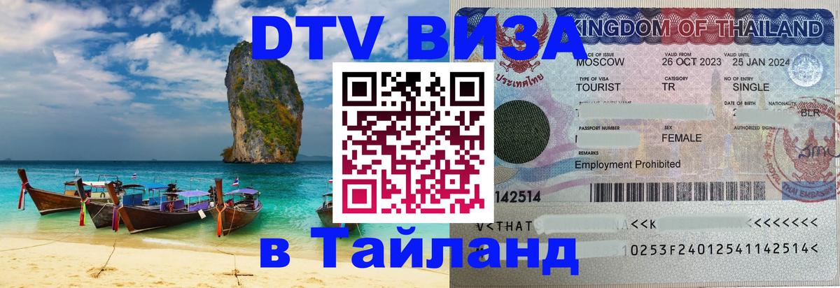 Сколько стоит DTV виза — актуальные цены, оформление даже без документов - 19.11.2025 